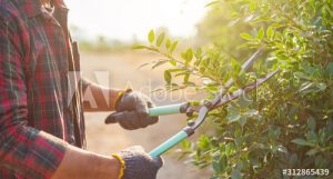 Ejendomsservice København